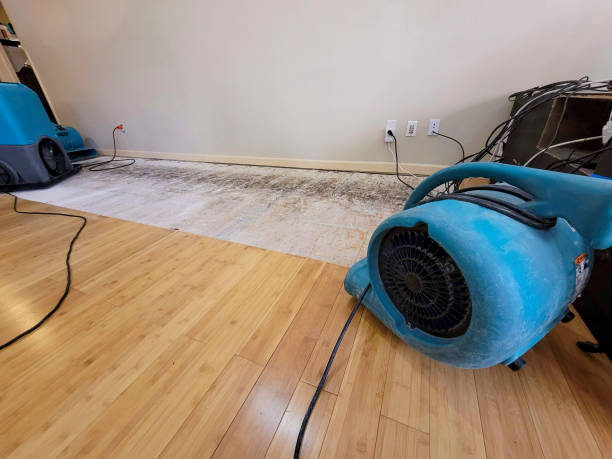 Professional Basement Flood Cleanup technician working in Middleport, NY